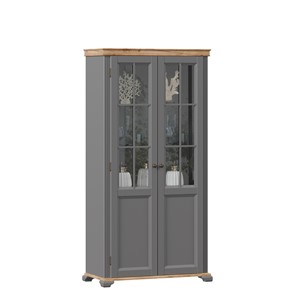 Шкаф двухстворчатый с стеклом Амели (Оникс серый) ЛД 642.890 в Махачкале
