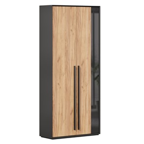 Шкаф для прихожей 2-дверный Неаполь ЛД.134050.000 (Черный/Дуб Золотой) в Махачкале