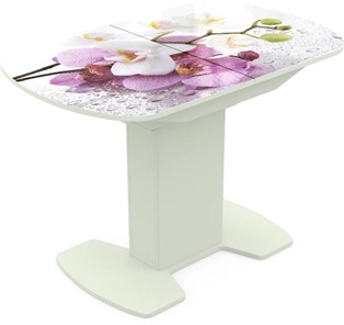 Кухонный стол раскладной Корсика исп. 2 Фотопечать (Цветы №44) 1200(1515)*800 в Махачкале