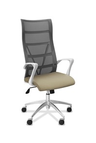 Офисное кресло для руководителя Топ X белый каркас, сетка/ткань TW / серая/светло-серая в Махачкале