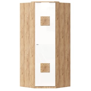 Шкаф угловой 45 с декоративной накладкой Фиджи, 659.248, белый в Махачкале