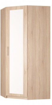 Шкаф угловой Реал (YR-230х1034 (3)-М Вар.1), с зеркалом в Махачкале - изображение