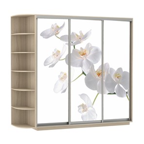 Шкаф 3-х створчатый Экспресс со стеллажом, 2100х600х2200, Орхидея белая/шимо светлый в Махачкале