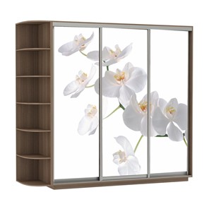 Шкаф 3-дверный Экспресс со стеллажом, 2100х600х2200, Орхидея белая/шимо темный в Махачкале