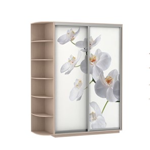 Шкаф 2-дверный Экспресс 1900x600x2200, со стеллажом, Орхидея белая/дуб молочный в Махачкале