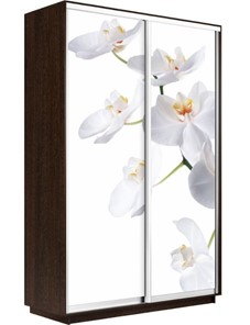 Шкаф 2-створчатый Экспресс 1400x600x2400, Орхидея белая/венге в Махачкале