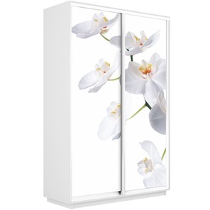Шкаф 2-х дверный Экспресс 1600x450x2400, Орхидея белая/белый снег в Махачкале