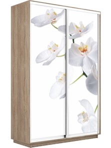 Шкаф Экспресс 1600x450x2400, Орхидея белая/дуб сонома в Махачкале