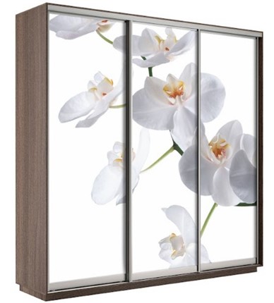 Шкаф 3-х дверный Экспресс 1800х600х2200, Орхидея бела/шимо темный в Махачкале - изображение