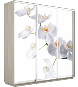 Шкаф 3-створчатый Экспресс 2100х600х2200, Орхидея белая/шимо светлый в Махачкале