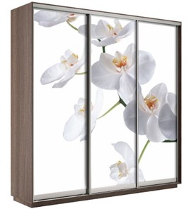 Шкаф 3-х створчатый Экспресс 2100х600х2200, Орхидея белая/шимо темный в Махачкале - предосмотр
