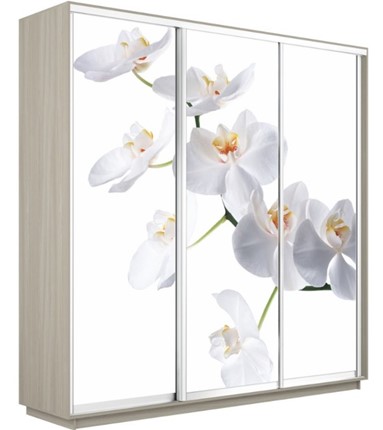 Шкаф 3-дверный Экспресс 2400х600х2400, Орхидея белая/шимо светлый в Махачкале - изображение