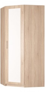 Угловой распашной шкаф Реал (YR-230х1034 (3)-М Вар.4), с зеркалом в Махачкале - предосмотр