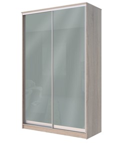 Шкаф 2-х дверный Хит-22-4-12/2-22 с цветным стеклом, средне-серый 074, Дуб сонома в Махачкале