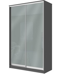 Шкаф 2-х дверный Хит-22-4-12/2-22 с цветным стеклом, средне-серый 074, Графит в Махачкале
