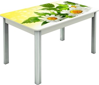 Кухонный стол раскладной Гамбург исп.2 ноги метал. крашеные №23, Фотопечать (Цветы №3) в Махачкале