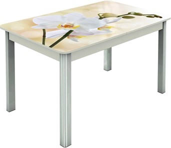 Раздвижной стол Гамбург исп.2 ноги метал. крашеные №23, Фотопечать (Цветы №5) в Махачкале