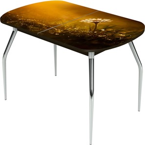 Кухонный стол раскладной Ривьера исп.2 ноги метал. крашеные №24 Фотопечать (Цветы №43) в Махачкале