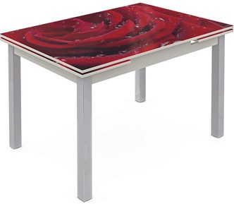 Обеденный раздвижной стол Шанхай исп. 2, ноги метал. крашеные №21 Фотопечать (Цветы №39) в Махачкале