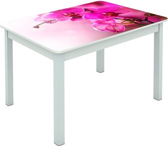 Обеденный стол Мюнхен исп. 1 ноги метал. крашеные №23 Фотопечать (Цветы №16) в Махачкале