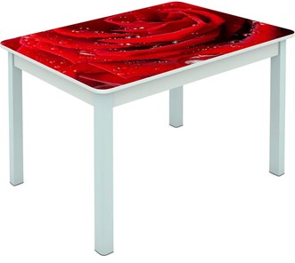 Обеденный стол Мюнхен исп. 1 ноги метал. крашеные №23 Фотопечать (Цветы №39) в Махачкале