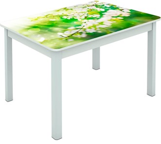 Обеденный стол Мюнхен исп. 1 ноги метал. крашеные №23 Фотопечать (Цветы №45) в Махачкале