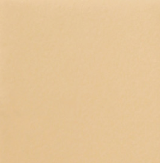 Стул кухонный Роджер Эконом С102-2(стандартная покраска) в Махачкале - изображение 9