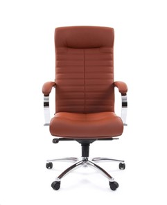 Офисное кресло CHAIRMAN 480 Экокожа Terra 111 (коричневая) в Махачкале - предосмотр 1