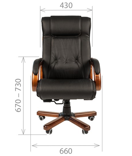 Кресло офисное CHAIRMAN 653 кожа черная в Махачкале - изображение 1