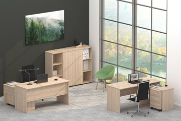 Набор мебели в офис Twin в Махачкале - предосмотр 4