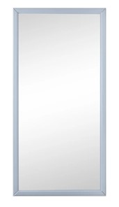 Зеркало навесное Ника (Серый) 119,5 см x 60 см в Махачкале