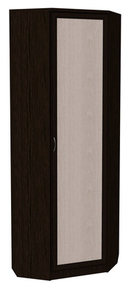 Шкаф распашной 402 угловой со штангой, цвет Венге в Махачкале - изображение