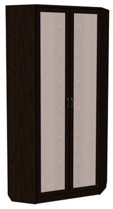 Шкаф распашной 401 угловой со штангой, цвет Венге в Махачкале - изображение