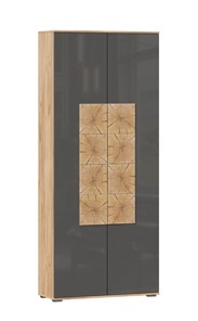 Шкаф двухстворчатый Фиджи с декоративными накладками 659.310, Дуб Золотой/Антрацит в Махачкале