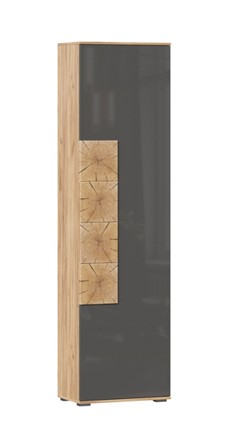 Шкаф одностворчатый Фиджи с декоративными накладками 659.300, Дуб Золотой/Антрацит в Махачкале - изображение