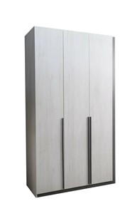 Распашной шкаф Винтер-3, винтерберг/темно-серый в Махачкале