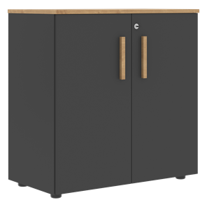 Шкаф широкий низкий с малыми дверцами FORTA Графит-Дуб Гамильтон  FLC 80.1(Z) (798х404х801) в Махачкале